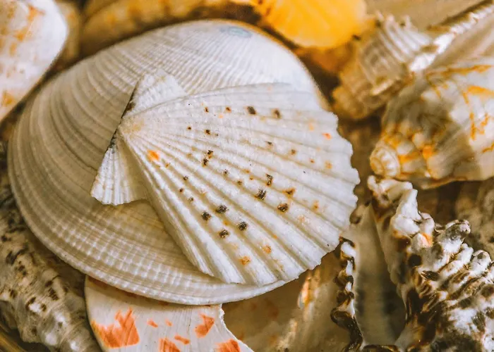 Hidden Bank: Pearls Plovdiv