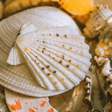 Hidden Bank: Pearls Plovdiv