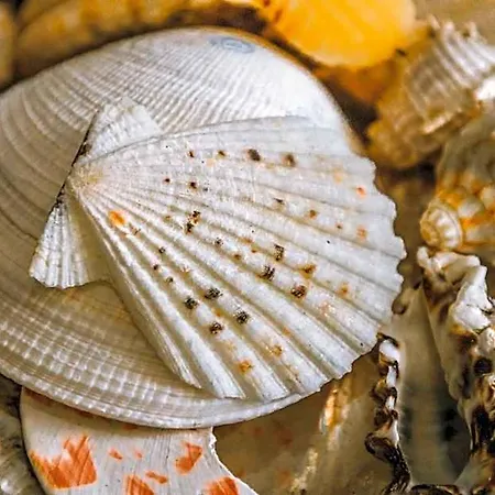 Hotel del amor Hidden Bank: Pearls Plovdiv